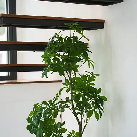 펜션 Wealthystays 2br Retreat , 5min Walk To *