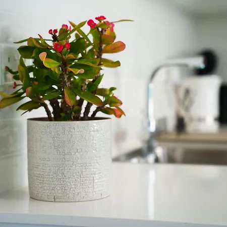 Feriehus Wealthystays 2br Retreat , 5min Walk To *