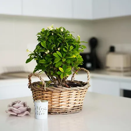 Wealthystays 2br Retreat , 5min Walk To * Πρωταράς