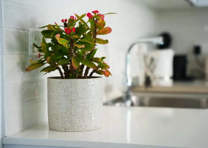 Case de vacanță Wealthystays 2br Retreat , 5min Walk To *