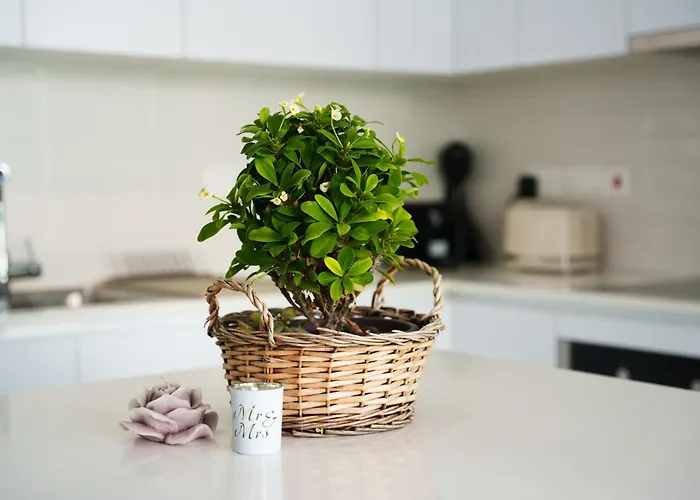 Wealthystays 2br Retreat , 5min Walk To * Protaras